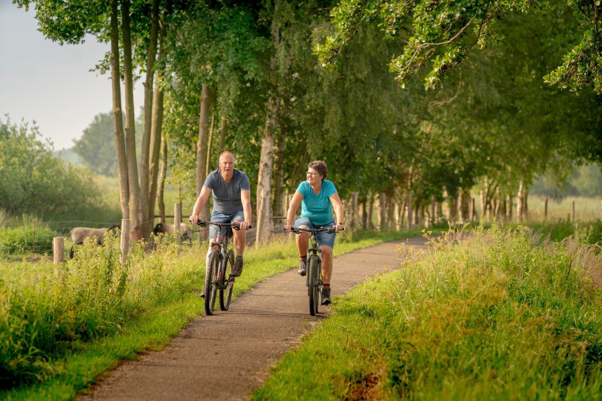 Vakantiepark Bosmeer Friesland Noordwolde  Szoba fotó